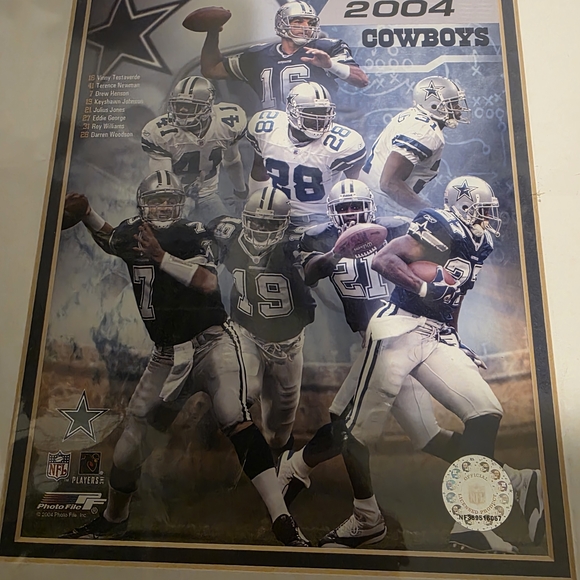 2004 Dallas Cowboys Team Photo Collage (Officially Licensed NFL Collectible) - Picture 4 of 7